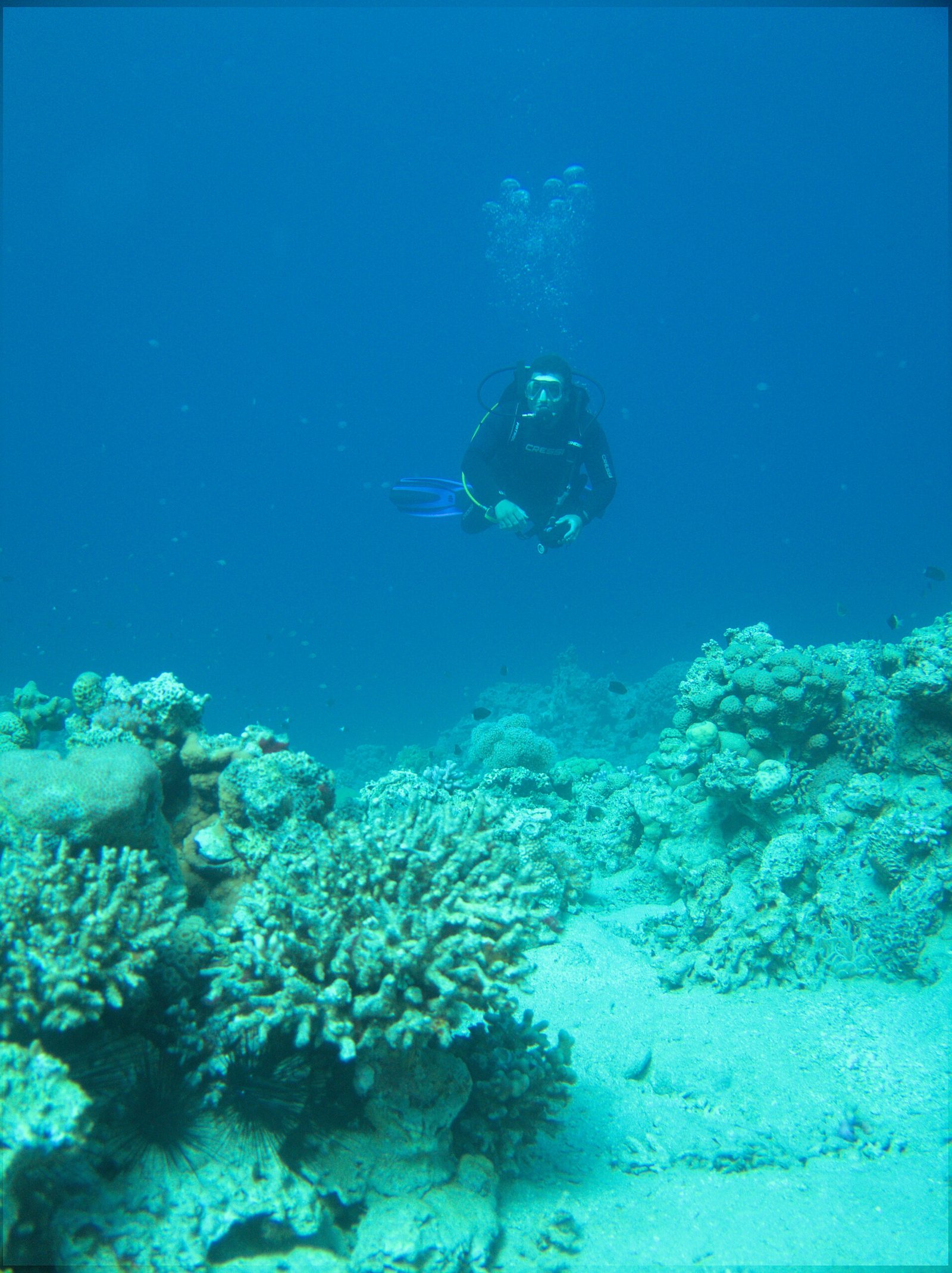 Diving in Aqaba